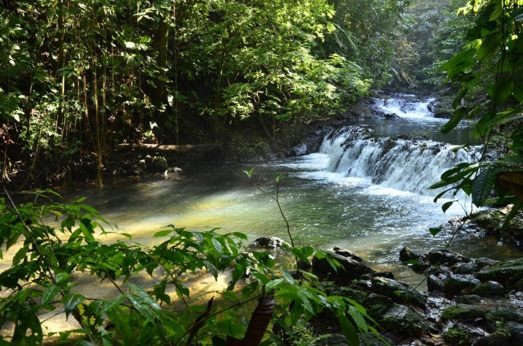 Parque Nacional Corcovado