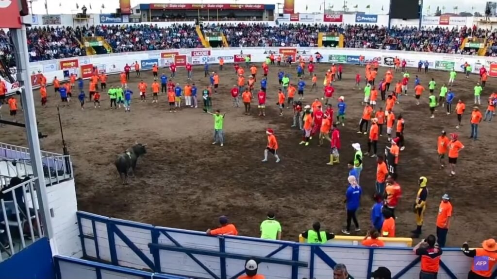 Toros a la Tica